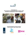 BGIF07 World Fish - Ecopond Project - Women-Headed Small Household Ponds 28Dec2015.pdf