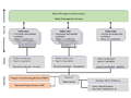 BGP org chart revised.png