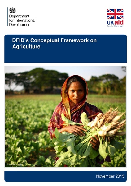 File:DFID Conceptual Framework on Agriculture.pdf