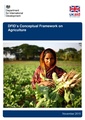 DFID Conceptual Framework on Agriculture.pdf