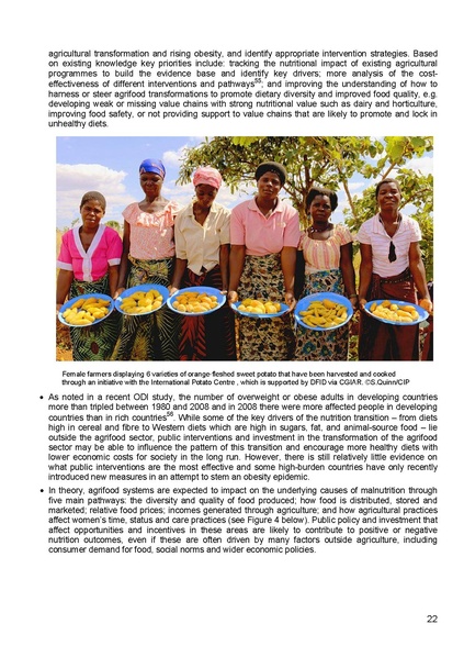 File:DFID Conceptual Framework on Agriculture.pdf