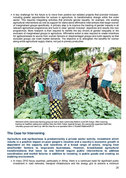 File:DFID Conceptual Framework on Agriculture.pdf