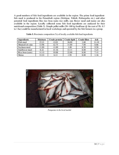 File:BGIF27A Innovision - Feasibility Study Pangasius aquaculture 21may 18.pdf